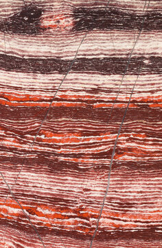 Close-up of polished Snakeskin Jasper from Western Australia