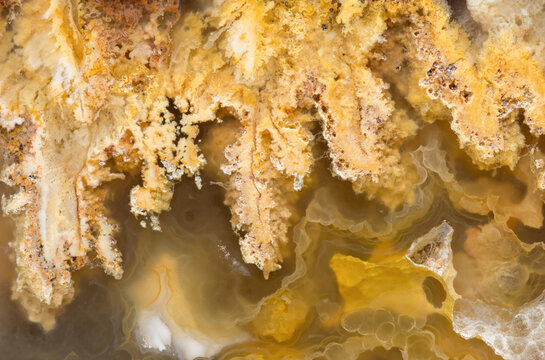 Macro shot of Graveyard Point Plume Agate from Oregon