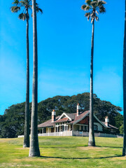Fototapeta premium Planet Pics Collection a Beauty of Natrue, Lens on The World. Sydney, Australia. Tall palm trees.