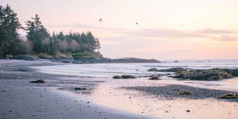Fototapeta premium A serene beach during low tide, with tide pools filled with colorful marine life, gentle waves rolling in, and seagulls calling in the distance under a pastel evening sky. The tranquil and coastal