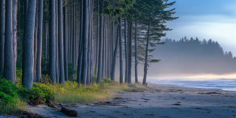 Fototapeta premium A serene coastal forest at sunrise, with tall pine trees lining a sandy shore, soft morning light streaming through the branches, and the gentle sound of waves. The tranquil and natural scene feels