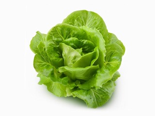Fototapeta premium Fresh green lettuce leaves isolated on white background with clipping path.