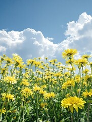 A picturesque field of dandelions swaying gently in the breeze under a radiant blue sky with fluffy white clouds, dandelion field, sunny day, wildflowers