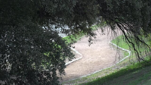 Bicycle riding on trail in Austin, Texas 12/1/2024
