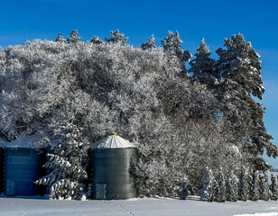 Obraz premium Cold Winters in Manitoba, Canada