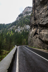 A serene mountain road meanders alongside towering cliffs, surrounded by lush green pine forests. The scene, with its wet pavement, suggests recent rainfall, adding a reflective sheen to the road.