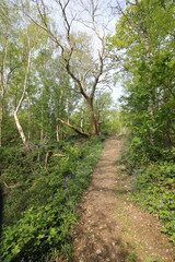 Queens Hill Costessey Norwich, United Kingdom, May 2, 2024. Views from Queens Hill Forest