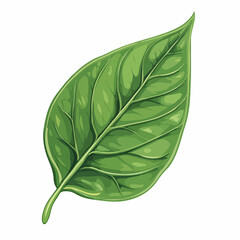 Fototapeta premium Green Leaf Nature Ecology Isolated Icon Vector Illustration