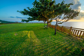 夜明けの知念岬公園