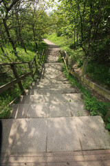 Queens Hill Costessey Norwich, United Kingdom, May 2, 2024. Views from Queens Hill Forest