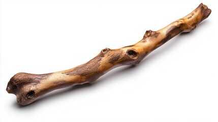 Fototapeta premium Natural Wooden Stick with Unique Textures and Organic Patterns