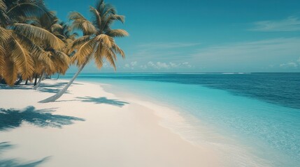 Fototapeta premium A pristine white sand beach with turquoise water and palm trees, a perfect tropical paradise.