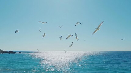 Seagulls in flight over a calm, sparkling ocean under a clear blue sky.