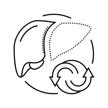 recommend clip art: liver transplant surgery line icon vector. liver transplant surgery sign. isolated contour symbol black illustration