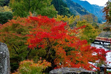 渓石園の紅葉
