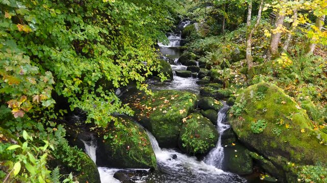 Scenic Triberg water falls in Black forest, Germany. Time lapse video.
