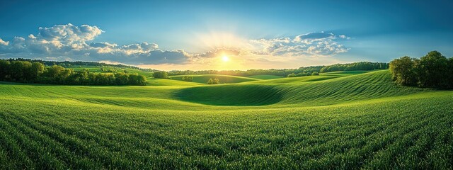Obraz premium Vibrant Green Field Under Bright Blue Sky with Soft Sunlight and Clouds in Scenic Landscape