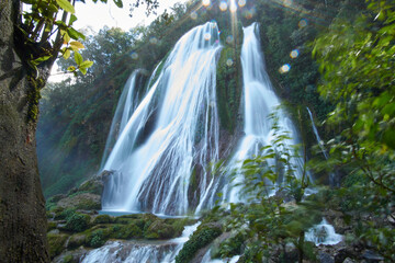 waterfall in the forest