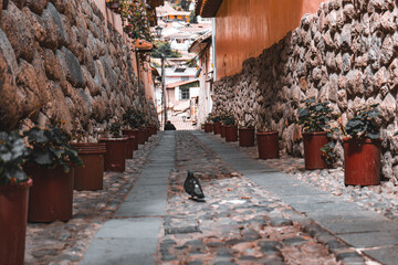 Cusco - Peru
