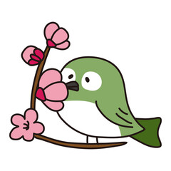 花の蜜を吸う小鳥の目白