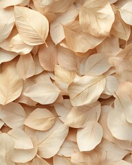 A close-up of delicate, pale leaves scattered on a surface, creating a soft, natural aesthetic.