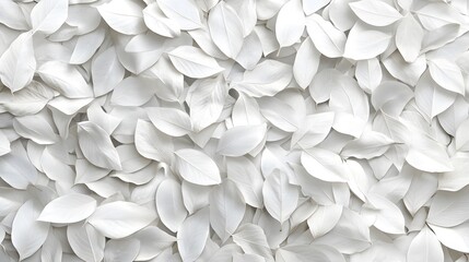 A close-up of numerous white leaves arranged in a textured pattern.