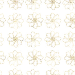 Fototapeta premium An Elegant Floral Pattern Laid Out on a Clean White Background That Displays Natures Beauty