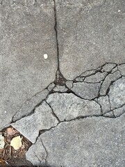 Obraz premium Cracked and fragmented broken sidewalk gray pavement 
