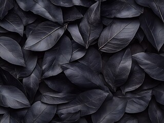 Obraz premium A close-up view of dark leaves arranged in a textured pattern.