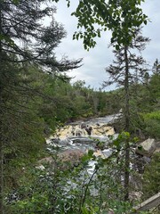 Obraz premium Waterfall through the trees