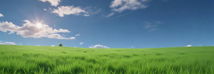 Lush meadow of vibrant green grass under clear blue sky, environment, blue sky