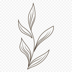 Hand drawn spring flowers illustration. floral illustration