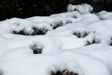 Snow texture.