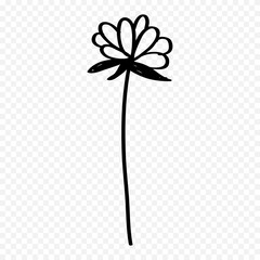 Hand drawn spring flowers illustration. floral illustration