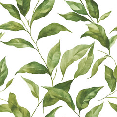 Obraz premium watercolor painting of a branch of eucalyptus PNG cutout isolated on white and transparent background.
