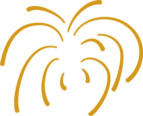 Blooming firework burt in a festive night