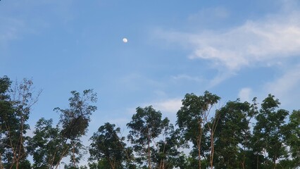 Moon In Blue Sky