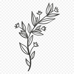 Hand drawn spring flowers illustration. floral illustration