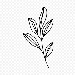 Hand drawn spring flowers illustration. floral illustration