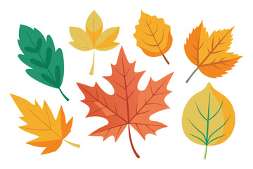  Maple ash leaves set isolated flat vector illustration on white background