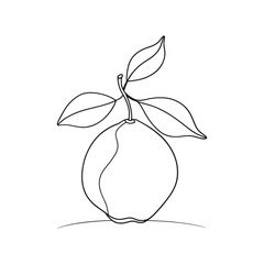 Yuzu fruit with leaf Continuous line art flat vector illustration