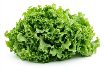 A large, crisp head of fresh green lettuce isolated on a white background