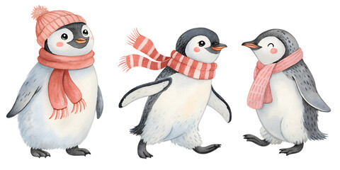 Fototapeta premium cute penguin watercolor set painting drawing cut out isolated on white background