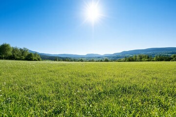 Sunny day, green field, mountains background.