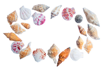 round frame seashell on white background isolated
