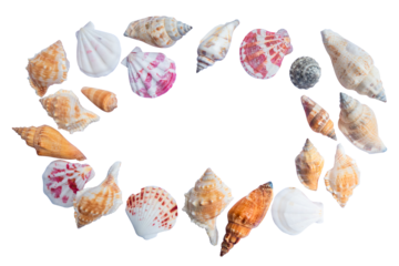 round frame seashell on white background isolated