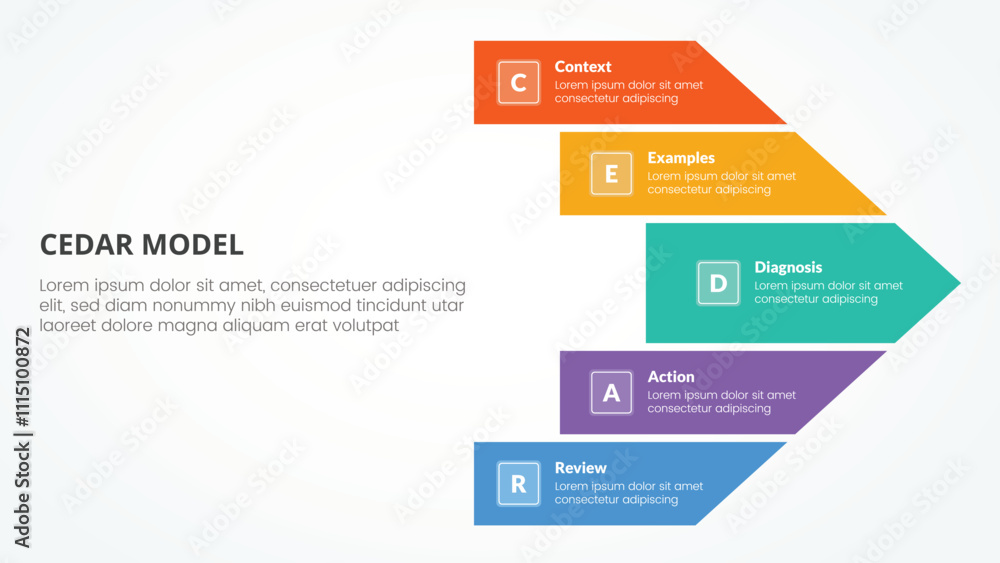 Poster cedar feedback model infographic concept for slide presentation with big arrow shape right direction