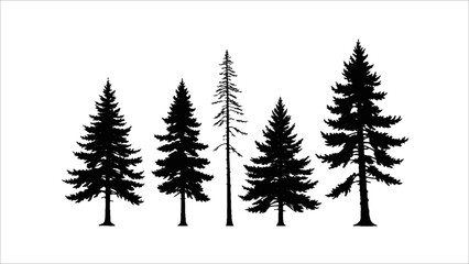 Obraz premium Set of silhouette pine tree isolated on white, vector illustration. Ai generated