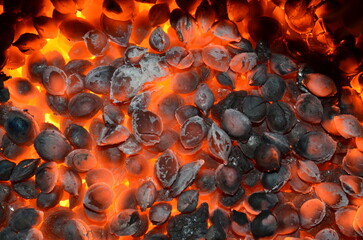 Burning apricot bones as background.