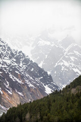A snowcovered mountain with trees and a cloudy sky behind